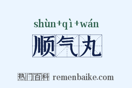 顺气丸是什么意思的图片